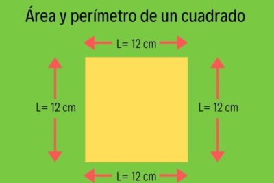aprende el area y perimetro de un cuadrado como un profesional