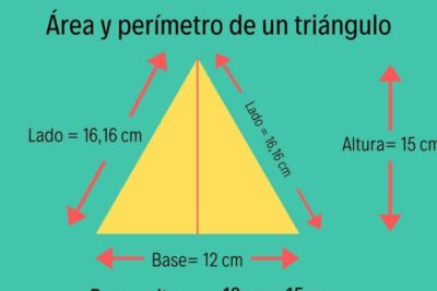 calcula el area y perimetro de un triangulo con metodos faciles de recordar