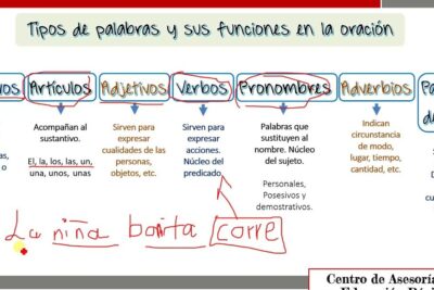 clases de palabras explorando su significado y funcion en la oracion