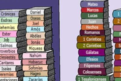 clasificacion de los libros de la biblia organizacion de los textos sagrados