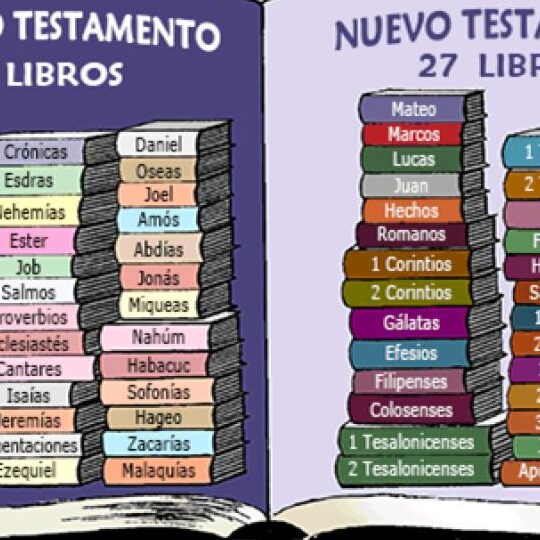 Clasificación de los libros de la Biblia: Organización de los textos sagrados 1 clasificacion de los libros de la biblia organizacion de los textos sagrados