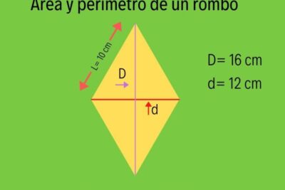 conoce el area y perimetro de un rombo con estos ejemplos practicos