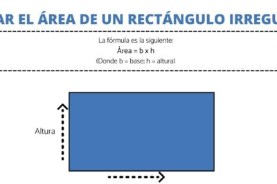 desafia tus habilidades matematicas calcula el area de un rectangulo irregular