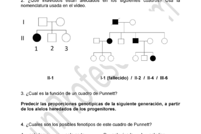 descubre el arbol genealogico con cuadro de punnet y entiende tu historia