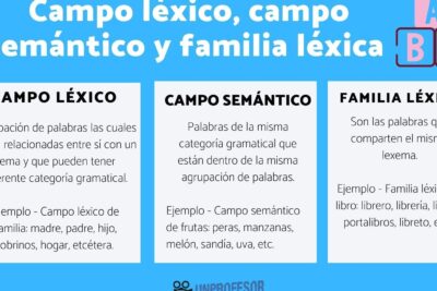 explorando el campo lexico y semantico conceptos clave
