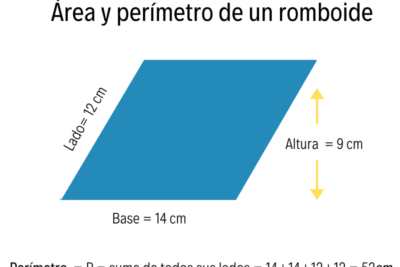 guia practica para calcular el area de un romboide sin errores