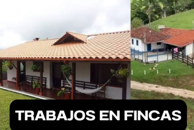Empleos en Fincas
